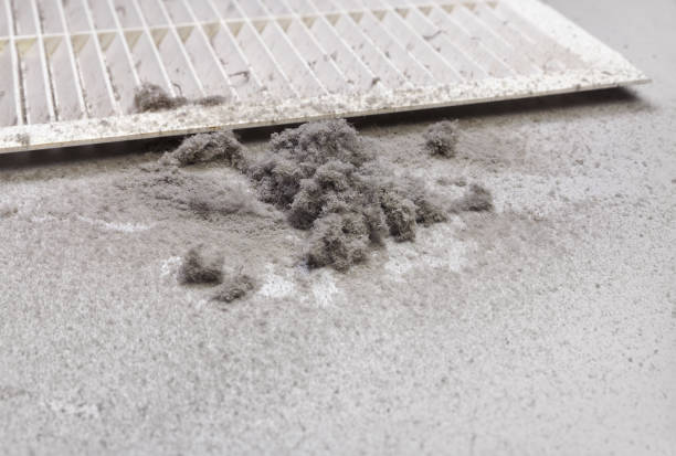 Best Best Air Duct Cleaning Company  in Seven Points, TX